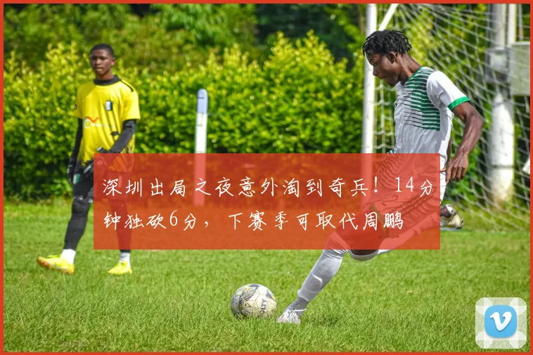 深圳出局之夜意外淘到奇兵！14分钟独砍6分，下赛季可取代周鹏
