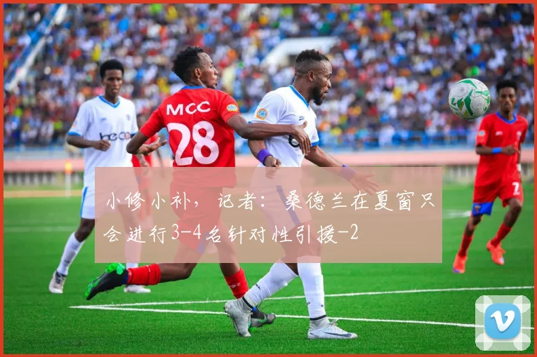 小修小补，记者：桑德兰在夏窗只会进行3-4名针对性引援