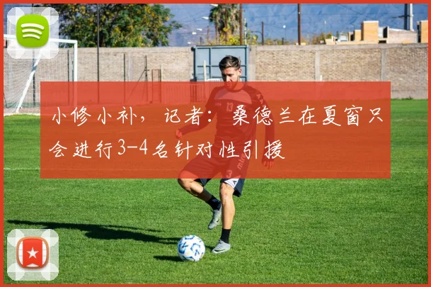 小修小补，记者：桑德兰在夏窗只会进行3-4名针对性引援